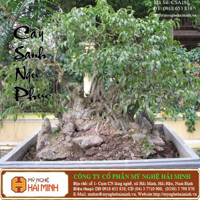 Do go my nghe Hai Minh - Hai Hau - Nam Dinh
